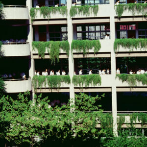 -教育-MOFA109179CF-2020-12-SL00034-114