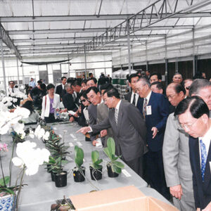 陳水扁總統於哥國參觀台糖蘭園-陳水扁總統「民主外交、友誼之旅」活動照片-MOFA109179CF-2020-12-PH00052-016