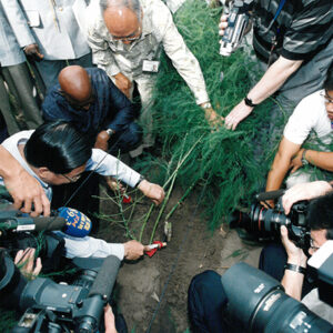 陳水扁總統於塞內加爾主持我國農業技術團桑嘉剛新團部及達卡多功能農業訓練中心落成典禮剪綵-陳總統訪塞內加爾-MOFA109179CF-2020-12-PH00057-087