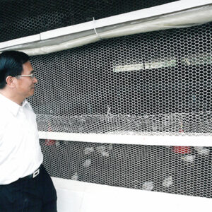 陳水扁總統於聖多美普林西比視察技術團養雞場-陳總統訪聖多美普林西比-MOFA109179CF-2020-12-PH00058-103