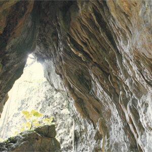 墾丁國家公園第三區原始森林區內鐘乳石地形-彩色(農漁牧)-MOFA109179CF-2020-12-PH00098-015