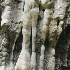 墾丁國家公園第三區原始森林區內鐘乳石地形-彩色(農漁牧)-MOFA109179CF-2020-12-PH00098-016