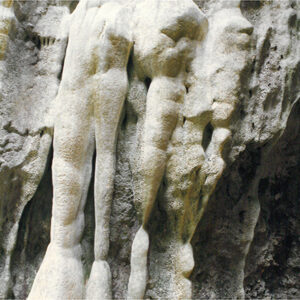 墾丁國家公園第三區原始森林區內鐘乳石地形-彩色(農漁牧)-MOFA109179CF-2020-12-PH00098-017