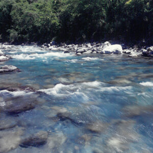 七家灣溪-彩色(農漁牧)-MOFA109179CF-2020-12-PH00098-032