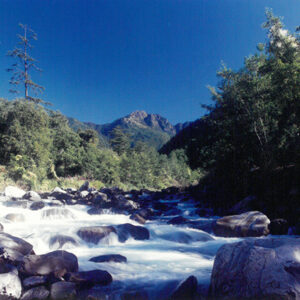 七家灣溪-彩色(農漁牧)-MOFA109179CF-2020-12-PH00098-033