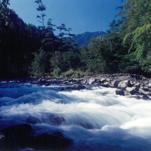 七家灣溪-彩色(農漁牧)-MOFA109179CF-2020-12-PH00098-034