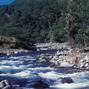 七家灣溪-彩色(農漁牧)-MOFA109179CF-2020-12-PH00098-035