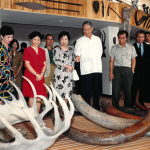 總統參觀吳絃三原始藝術館於陽明山-李總統照片冊-MOFA109179CF-2020-12-PH00121-130